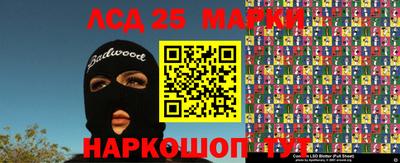молекула духа Можга